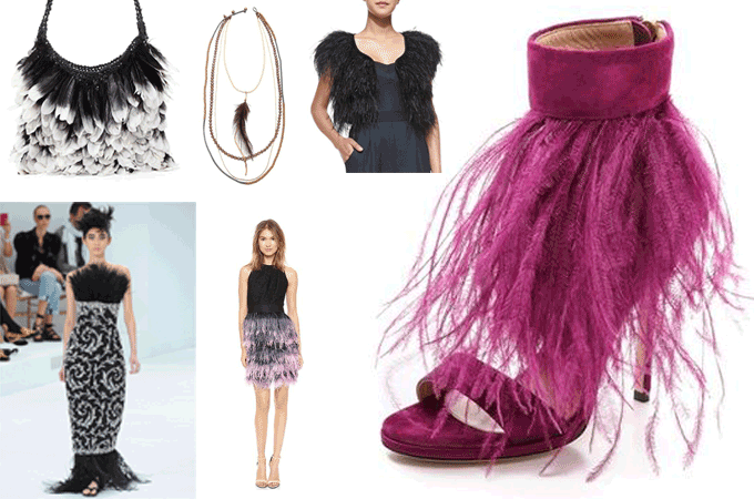 feather trend