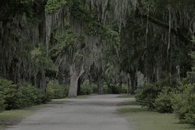 Bonaventure Cemetery in Savannah