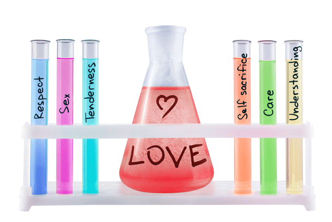 the chemistry of love